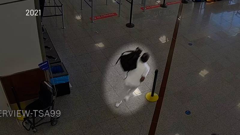 A still from security footage at the Atlanta airport shows a man running with a backpack. The image has been darkened around the passenger, with the passenger highlighted. The passenger was the one who grabbed a gun, but is seen running unimpeded from the scene.